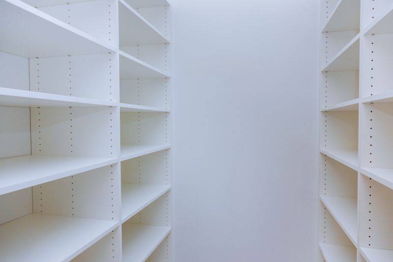 Custom Shelving Installation